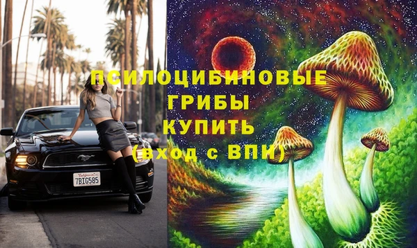 наркотики Белокуриха