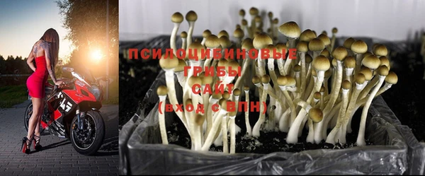 спиды Беломорск